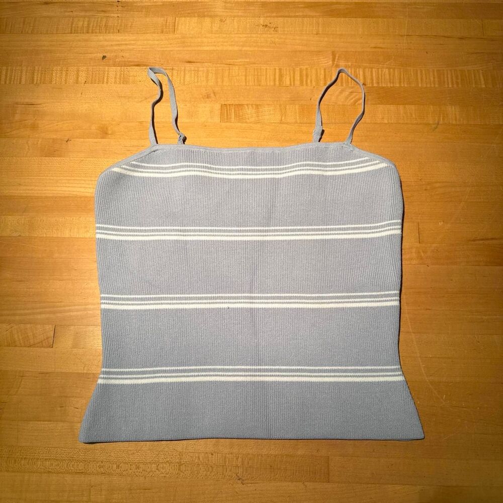 Aritzia Babaton Blue and white striped tank top